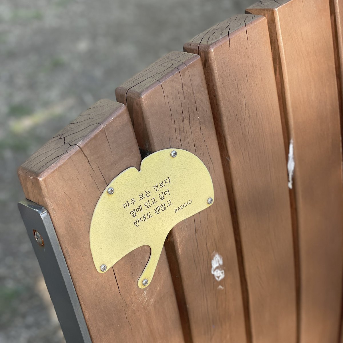 this_is_항성행성☀️💫 tweet media