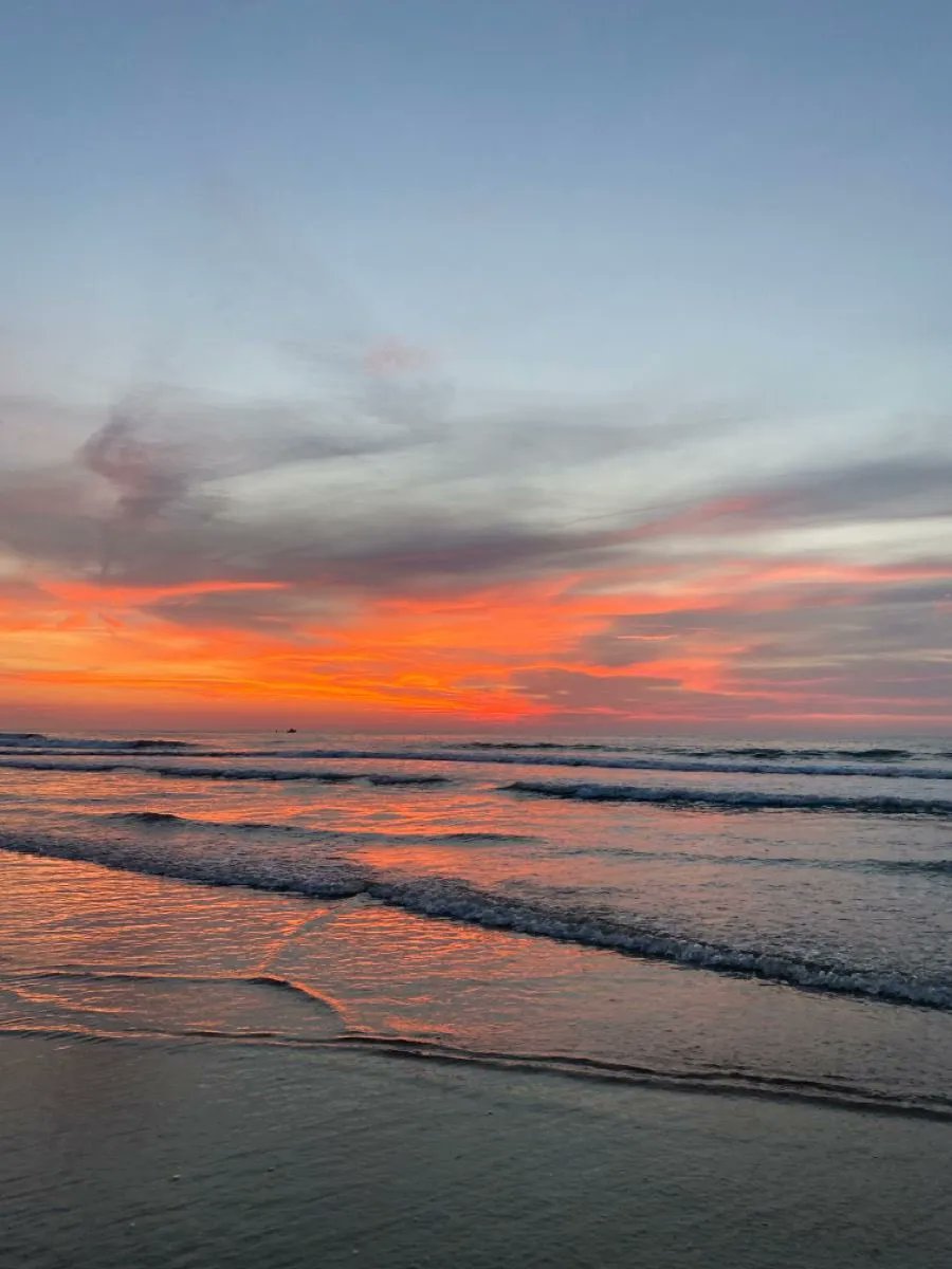 aestheticspost_'s tweet image. want