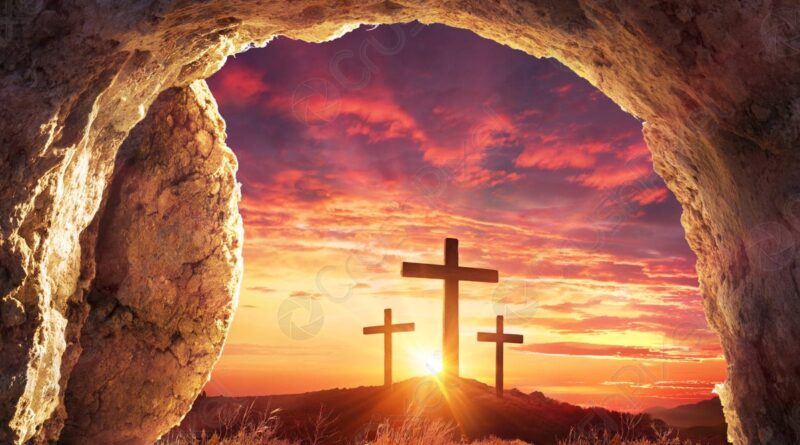 Dalmacio Mera tweet media