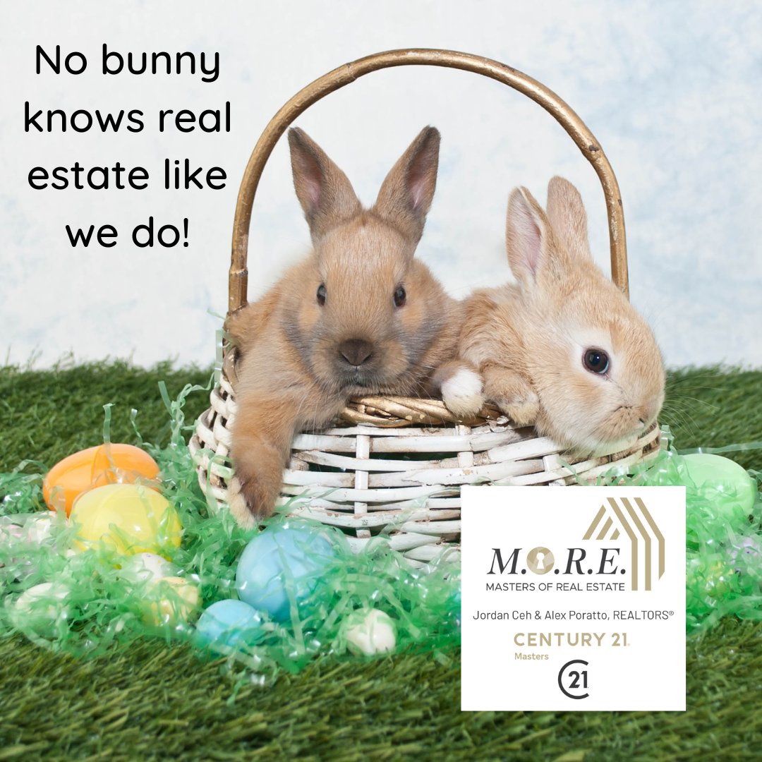 jordanceh's tweet image. Wishing everyone a very Happy Easter! 

Remember, the M.O.R.E. team is here to help with all your real estate needs!🐰🐰

#HappyEaster #MastersofRealEstate #MORE #yourlocalexperts #JordanCeh #AlexPoratto #C21Masters #C21 #REALT... facebook.com/48911040447406…