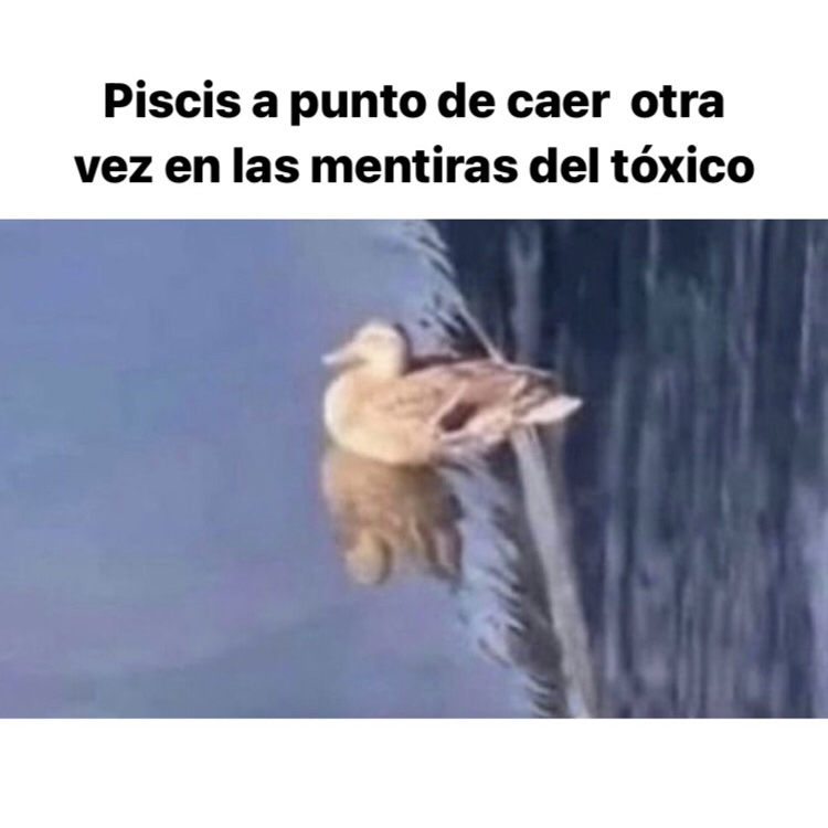 piscis_hn's tweet photo. 🤣🤣🤣 #piscis #horoscoponegro https://t.co/P62vrcn2cq