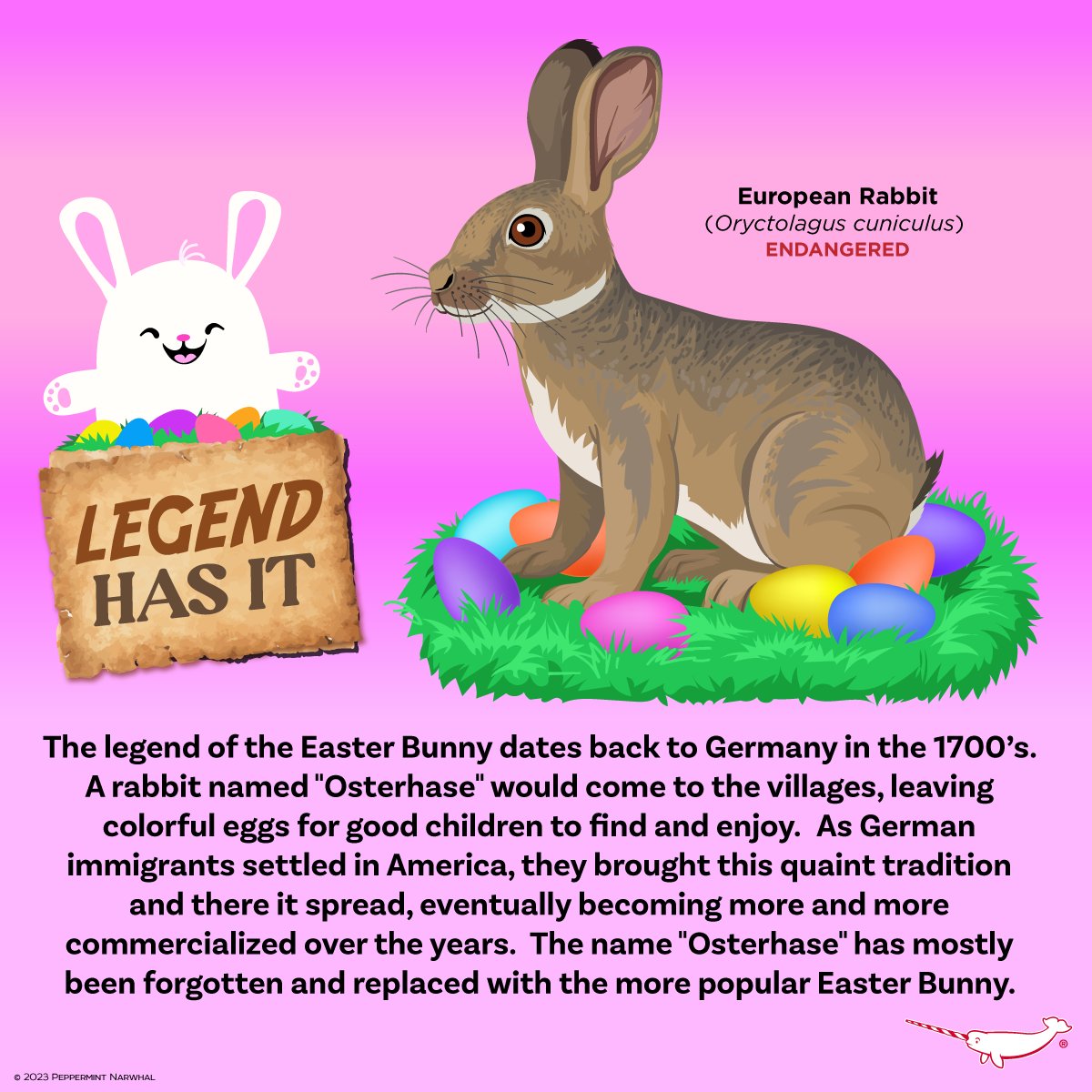 PepomintNarwhal's tweet photo. #HappyEaster 
#LegendHasIt #Osterhase #EasterBunny 

Shop the #PeppermintNarwhal store:
https://t.co/bQXxNGbEjD

#Bunny #rabbit #EuropeanRabbit https://t.co/PdoYCHfiHH