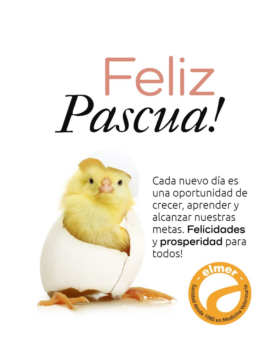 Elmer_Vet's tweet photo. Feliz Pascua para todos ustedes y sus familias!

https://t.co/AsU7Brlpqu

 +54 11 5430 5578 / +54 11 5431 5782

administracion@elmerlab.com

#LaboratorioElmer #MedicinaVeterinaria #Farmaceutica #Veterinaria #Saludanimal #felizpascua https://t.co/E1aTBFr05j