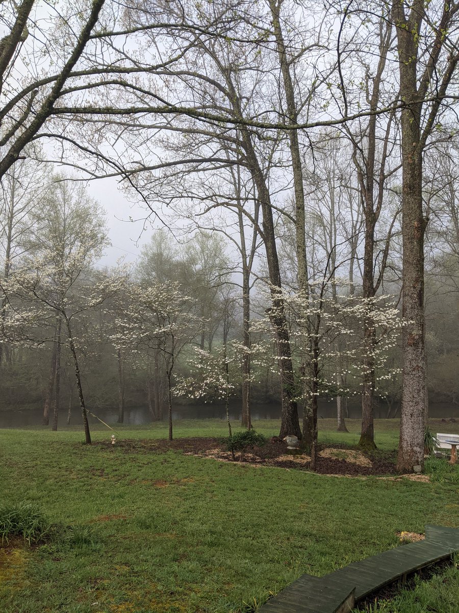 Happy Easter from the foggy mountains.