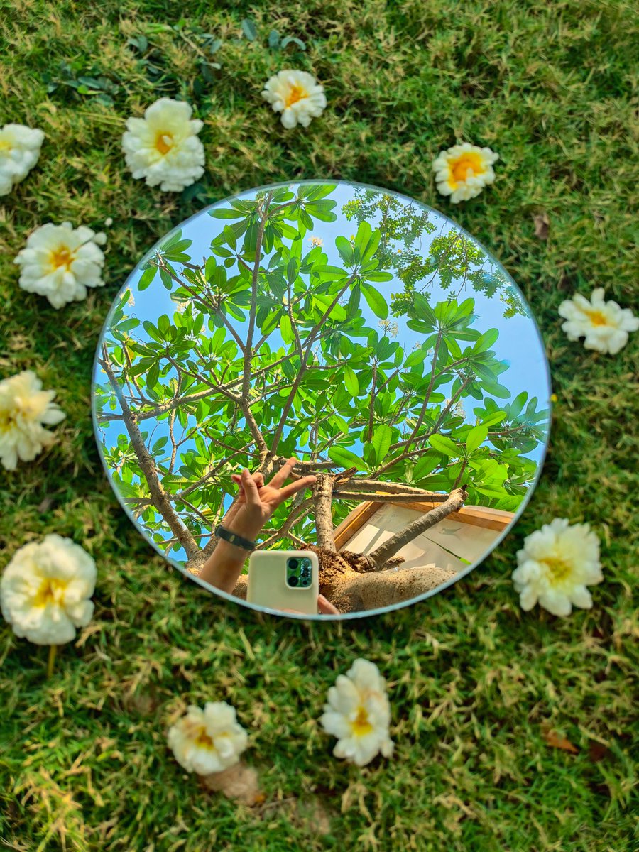 Myphotostoryy's tweet image. Here is my entry for  #SpringOnSnapdragon 
Recently i captured these photographs 🙋‍♀️💕🌻 many more are left to share 🎉🤞

#ShotOnSnapdragon #OPPOFindX3Pro  #Snapdragon @Snapdragon @oppo