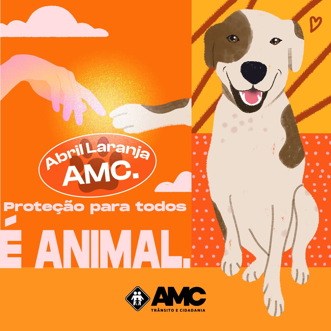 amctransito's tweet photo. A campanha do #AbrilLaranja está de volta e a AMC apoia essa causa importante, que é proteger os animais no trânsito.

Sempre se atente a carregar nossos amiguinhos de forma adequada nos veículos, além de tomar cuidado com os animais que aparecem nas vias. 🚗🐾

#AMC #AMCTransito https://t.co/Nfhi77atA3