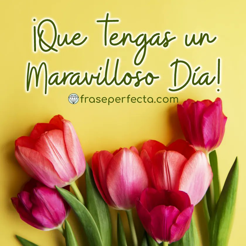 🇻🇪#DomingoDeReencuentro
❤️ Vamos 🇻🇪 camaradas 🇻🇪❤️
☝️☝️☝#TuiteroPatria
🇻🇪 📢 ¡ETIQUETA DEL DÍA! ▶️ 
<a href="/Suares2Damian/">Damian Suares</a> ✝️
<a href="/Daygar24/">Dayana Garcia</a> ✝️
<a href="/DanielArnal13/">Daniel Arnal</a> ✝️
@SilviaF5054887  ✝️
 <a href="/jeankarlosg1/">✨Angeles✨</a> ✝️
<a href="/rebensito/">Rebensito Serrano</a> ✝️