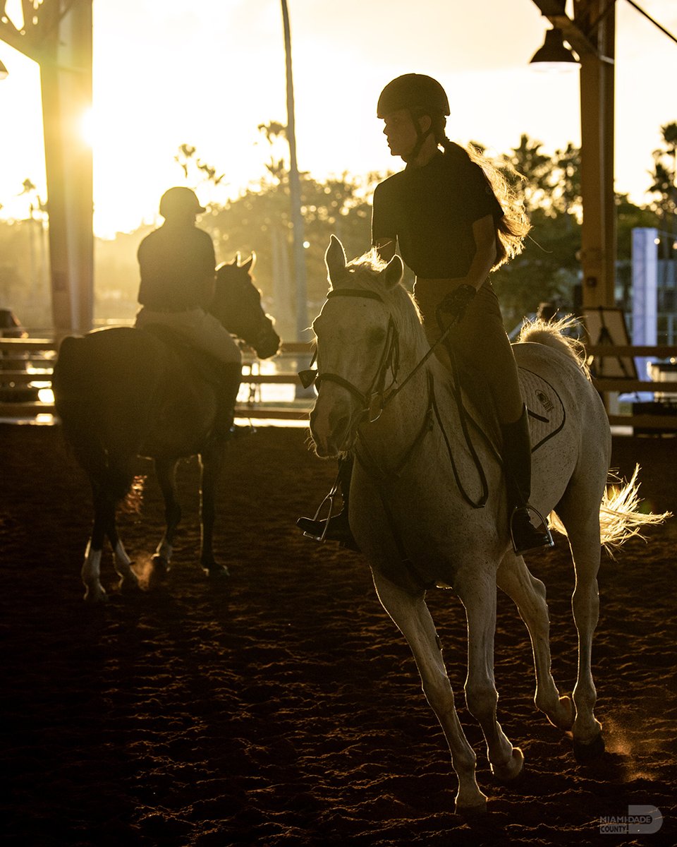 MiamiDadeCounty's tweet photo. As the sun sets at the Ronald Reagan Equestrian Center at Tropical Park, we're reminded there's no shortage of beautiful things to see in #OurCounty. #OurViews #OurBackyard #SundayViews #SundayFunday https://t.co/5cKi9Abqcd