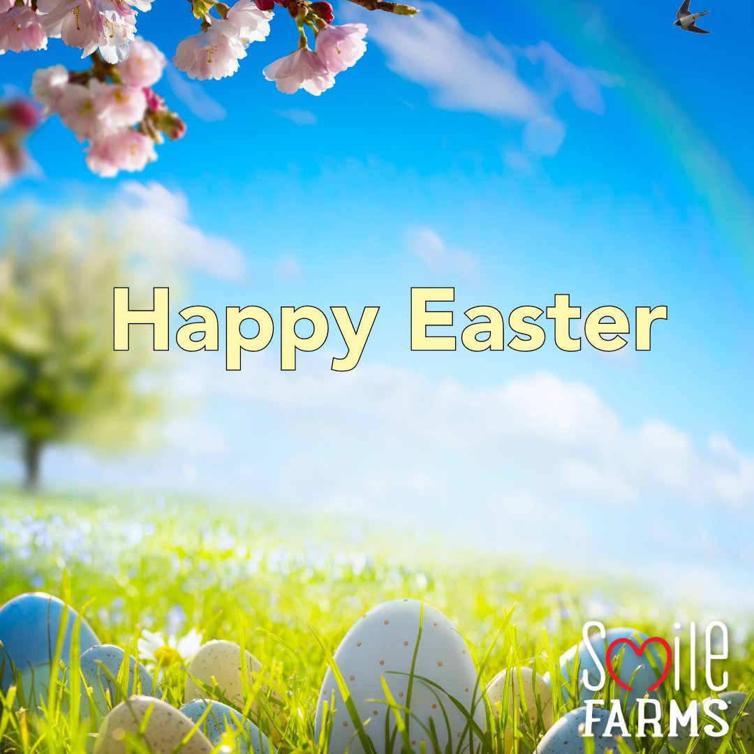 Have a happy Easter! 🌷 😊