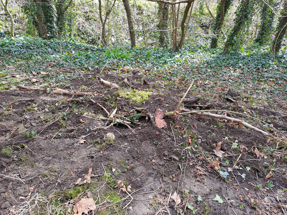 froglifers's tweet photo. The #CoalfacetoWildspace team have created their first #hibernaculum in #Walsall!

Thank you to the wonderful volunteers from the @paddockactccg for their invaluable help! https://t.co/PbvWGd0G2E