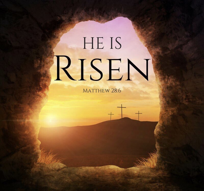 SEA_RETweets tweet media