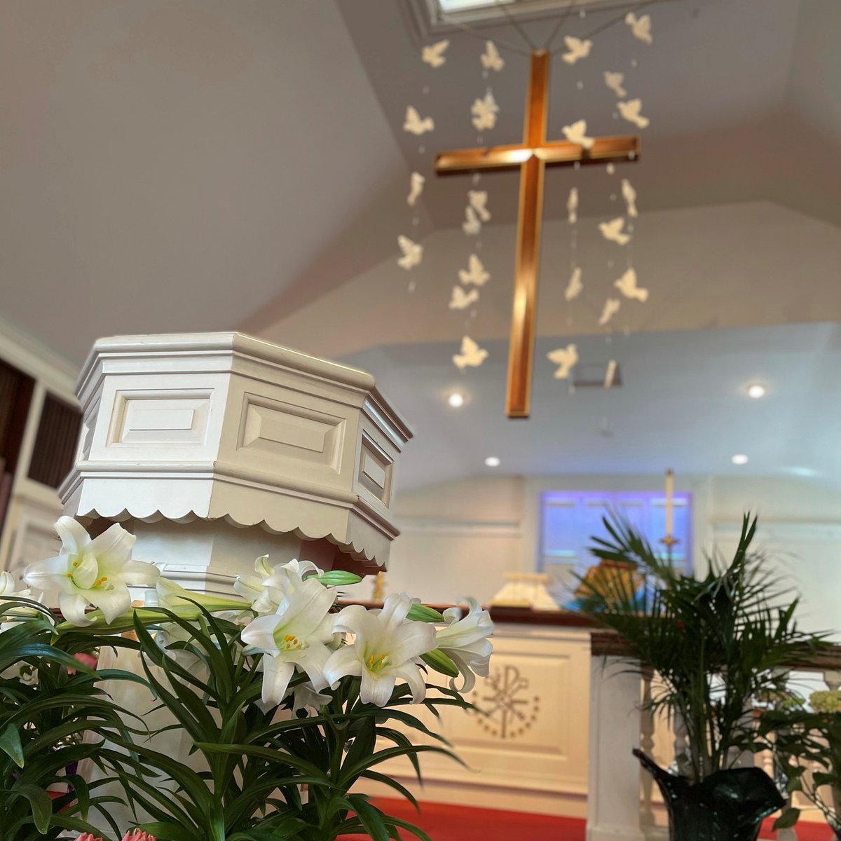 St. Barnabas Episcopal Church tweet media