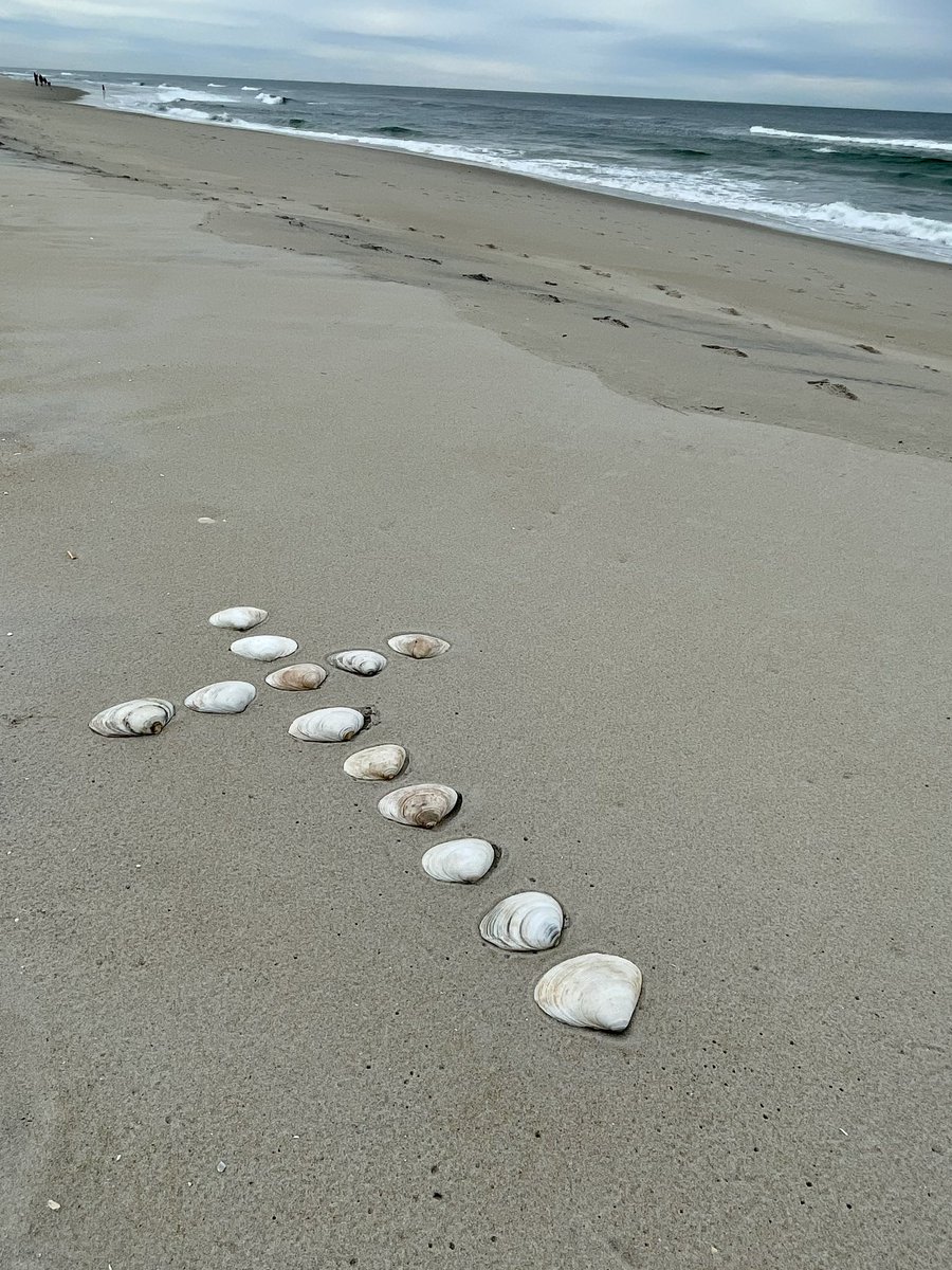realestateMaryO's tweet photo. Best wishes for a Happy Easter! 🐰🐥🐇🌷  

Shells from my collection used for a photo on our beach!  LBI❤️NJ

#hunterdoncounty #hunterdoncountynj #njhomes #realestate #njrealestate #realestateagent #realtor #njrealtors #newjerseyhomes #newjerseyrealestate #lbinj #shorehouse https://t.co/CcAWRG00cq