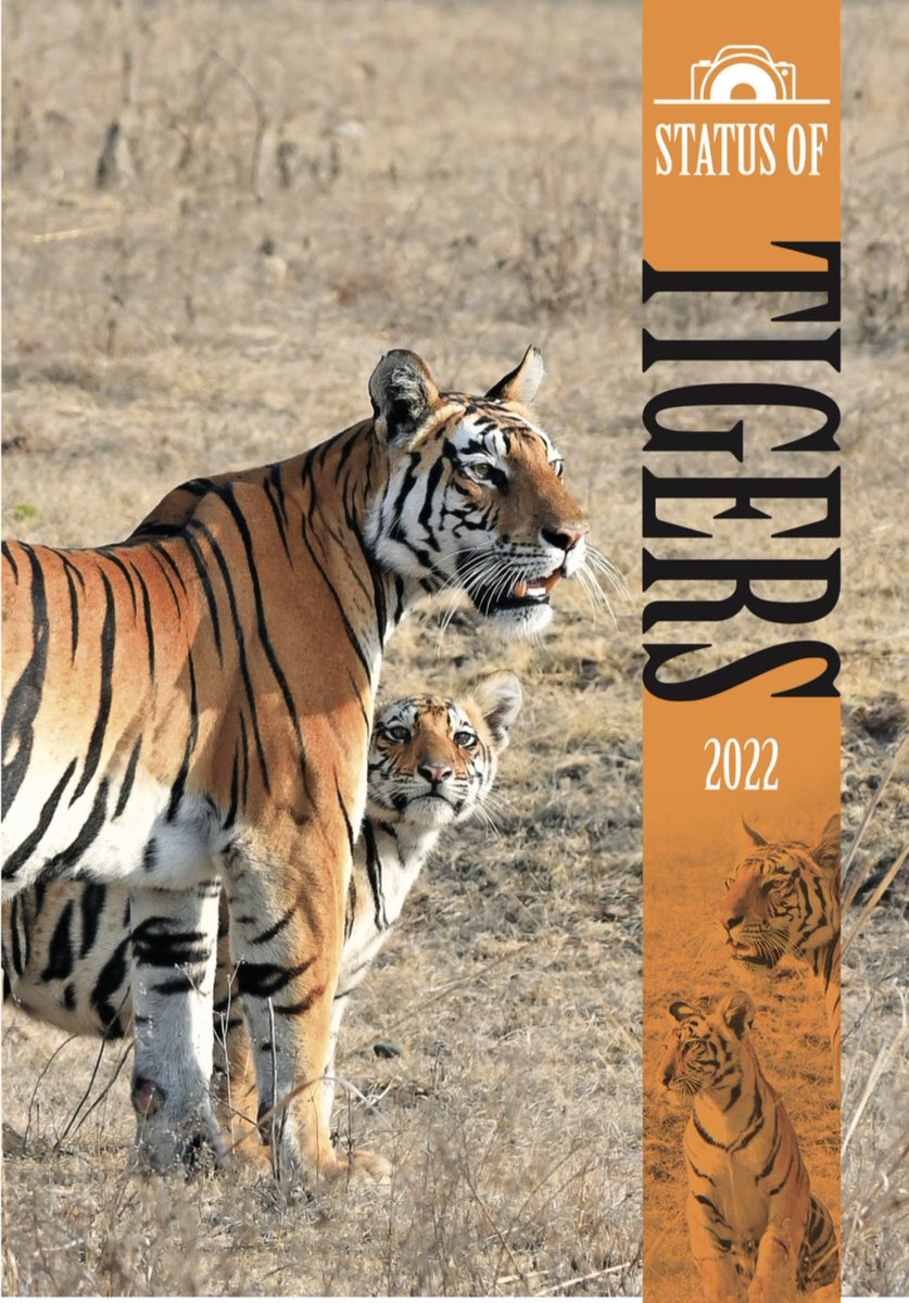 pankaj4fitness's tweet image. वन्य जीवों के अनुकूल होता हमारा मध्यप्रदेश।हर्ष  है कि विश्व में सर्वाधिक 70% बाघों की संख्या भारत में है, और भारत में सर्वाधिक बाघों की संख्या हमारे मध्यप्रदेश में हैं। #TigerReserve #TigerPopulation #TIgerproject 
#Tiger