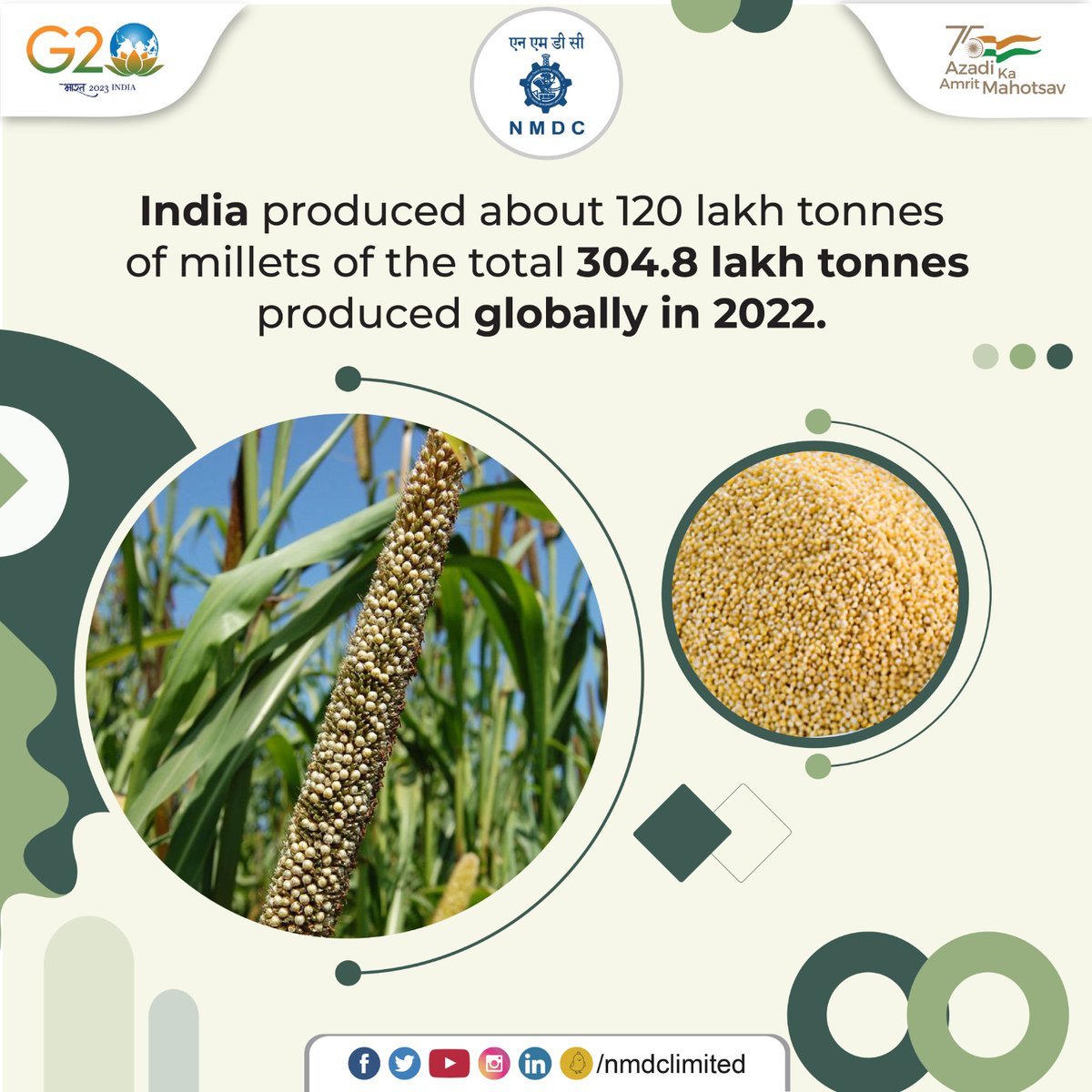 By using improved seeds, new agronomic practices, and new technology, the awareness about millets and consumption has increased in India. Hence, India has seen a rise in millet production.

#NMDC #Milletfacts #MilletsofIndia #InternationalYearOfMillets