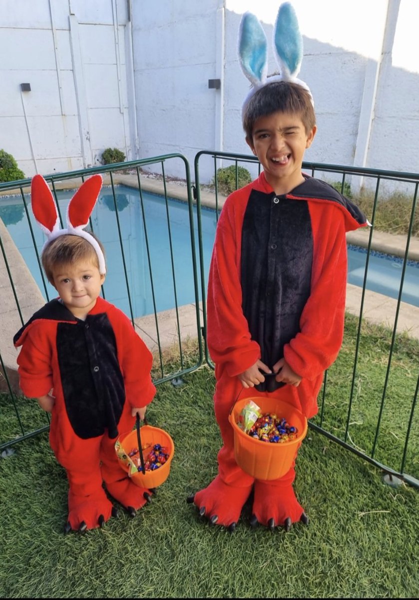 jocefariasf's tweet photo. #ALERTA Feliz Pascua de resurrección!!! El CONEJITO YA PASÓ #Alerta https://t.co/s6mMANd9GW