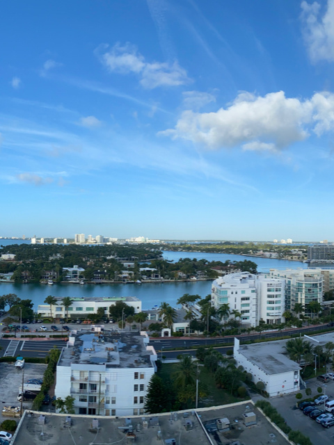 lemonade_0817's tweet photo. Miami mornings are always a favorite, Happy Easter!😊 https://t.co/x7INzvCGYA