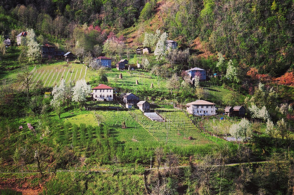 sukhiti's tweet photo. Merisi Gorge in #Spring. Keda, historically lower #Adjara https://t.co/d1vMY1cxaN