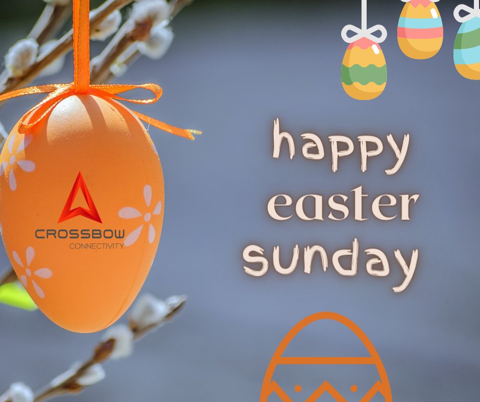 GetCrossbow's tweet image. Happy Easter from Crossbow Connectivity!
#Easter #WiFi #WestCdnAg #Spring23