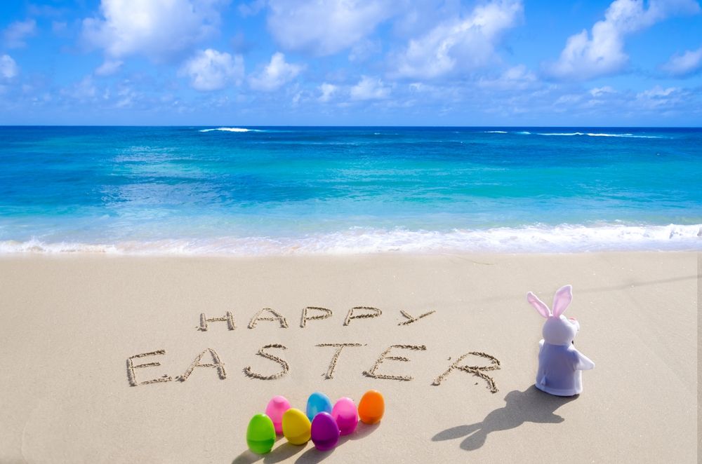 joanbernardini's tweet photo. Happy Easter.
🌴🥥🌴🥥🌴🥥
Call or text us for all your travel needs
203-795-5444. or visit us on the web
🖥 https://t.co/HAUZKuoNyS 
🌴🥥🌴🥥🌴🥥
#bernardinitravel 
#easter #happyeaster #easterbunny #spring #eastereggs #love #easterdecor #bunny #eastersunday #chocolate https://t.co/mhkQp2NHi6