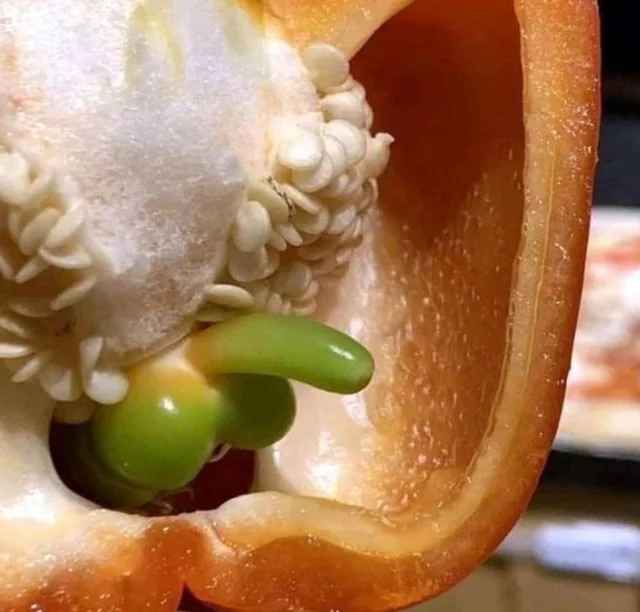 i like food tweet media