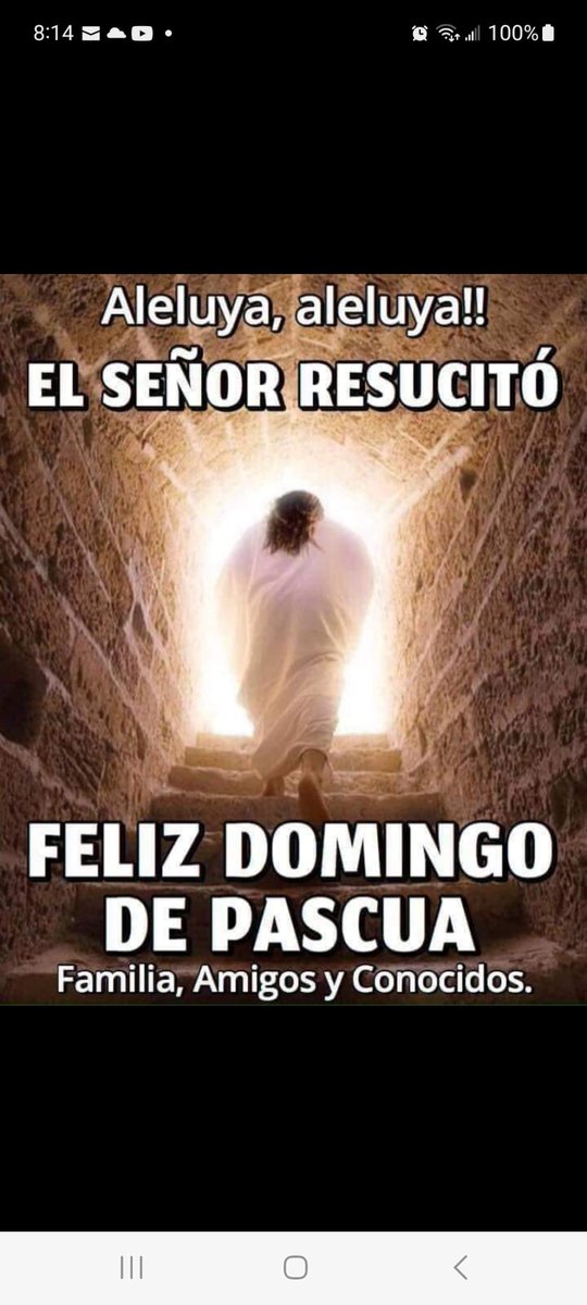 MABECHULA's tweet photo. Aleluya!!! https://t.co/8UFUv8RiAE