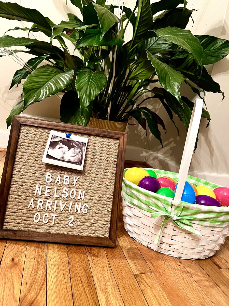 ARNelson7's tweet photo. The Easter Bunny out did himself this year.. little Miss Nelson 🎀 coming this fall https://t.co/6poOMmCEKg