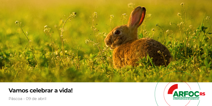 🗓 09.04 - Páscoa
Feliz Páscoa a todos os associados e suas famílias! Aproveite esse momento especial para agradecer e celebrar. #Páscoa2023 #ArfocRS