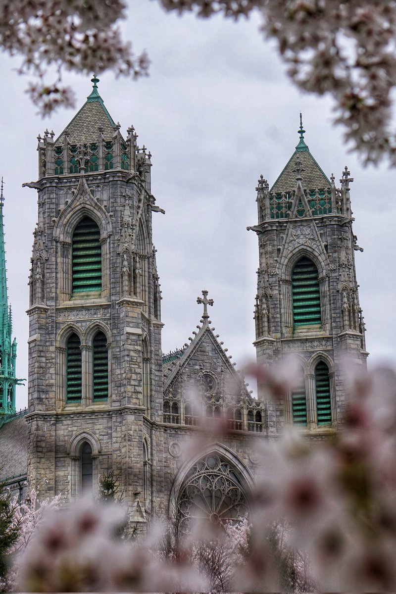 KarissasKapture's tweet photo. Let everything you do be done in love.
1 Corinthians 16:14
Happy Easter! βͺοΈβοΈπ
#KarissasKaptures #Easter #EasterSunday #NewarkNJ #Cathedral #cherryblossomseason #BranchBrookPark #SpringInNewJersey #Springtime #SonyCamera #sonyalpha #sonya6000 https://t.co/KMcyD4vqmB