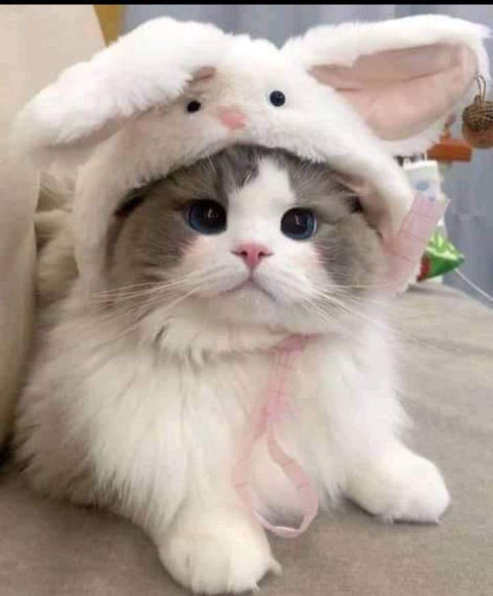 Happy Easter 😁💐🐰🐰🥚🐇🐇