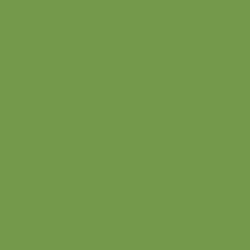Pantone 7490-c
rgb(113,153,73)
hsl(90,35%,44%)
#719949