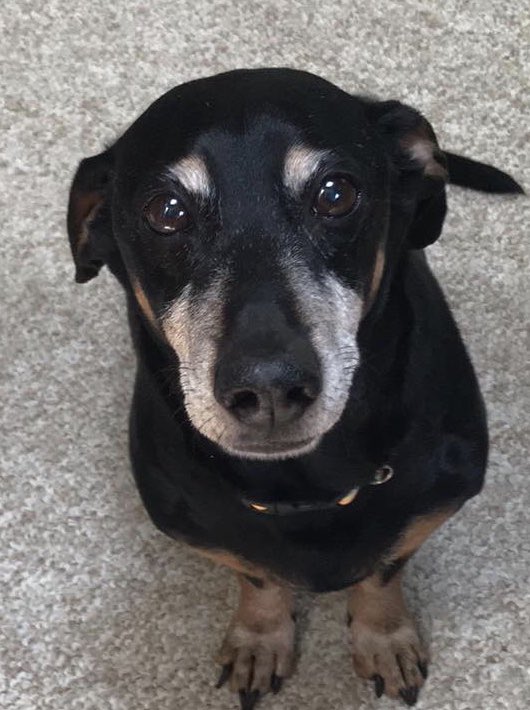 03/12/23 My Bandit Crossed Over The Rainbow Bridge ~ As I type this with tears dripping down, this will be my first Easter without my son. I Love you to the moon and beyond xo Mommy xo