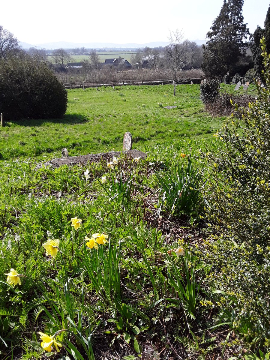 HolyTrinityHpp's tweet photo. Happy Easter! All quiet now in our church &amp; churchyard after a wonderful joyful morning of #Easter worship.  Quiet &amp; reflective #BCP at 8am, packed out at 10am for an exuberant Celebration #Communion, followed by an #EasterEggHunt.  #Alleluia !  #ChristIsRisen !  @ChichesterDio https://t.co/BE1ryr9xLA