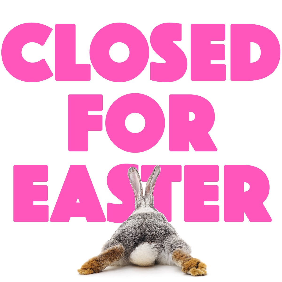 🐰 Because everybunny needs time to chill.🐰 We hope you have a great day with your peeps! See you later this week!