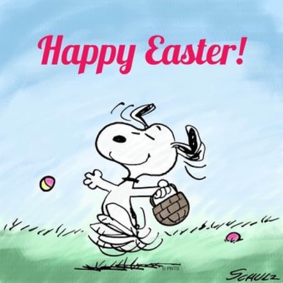 🐰🌼 Happy Easter, everyone! 🌸 #EasterGreetings #Easter2023