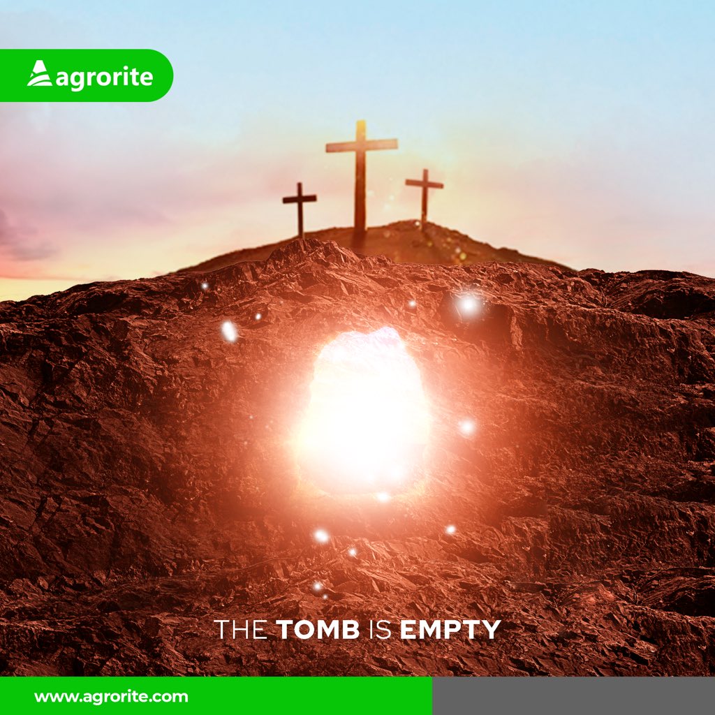 Agrorite tweet media