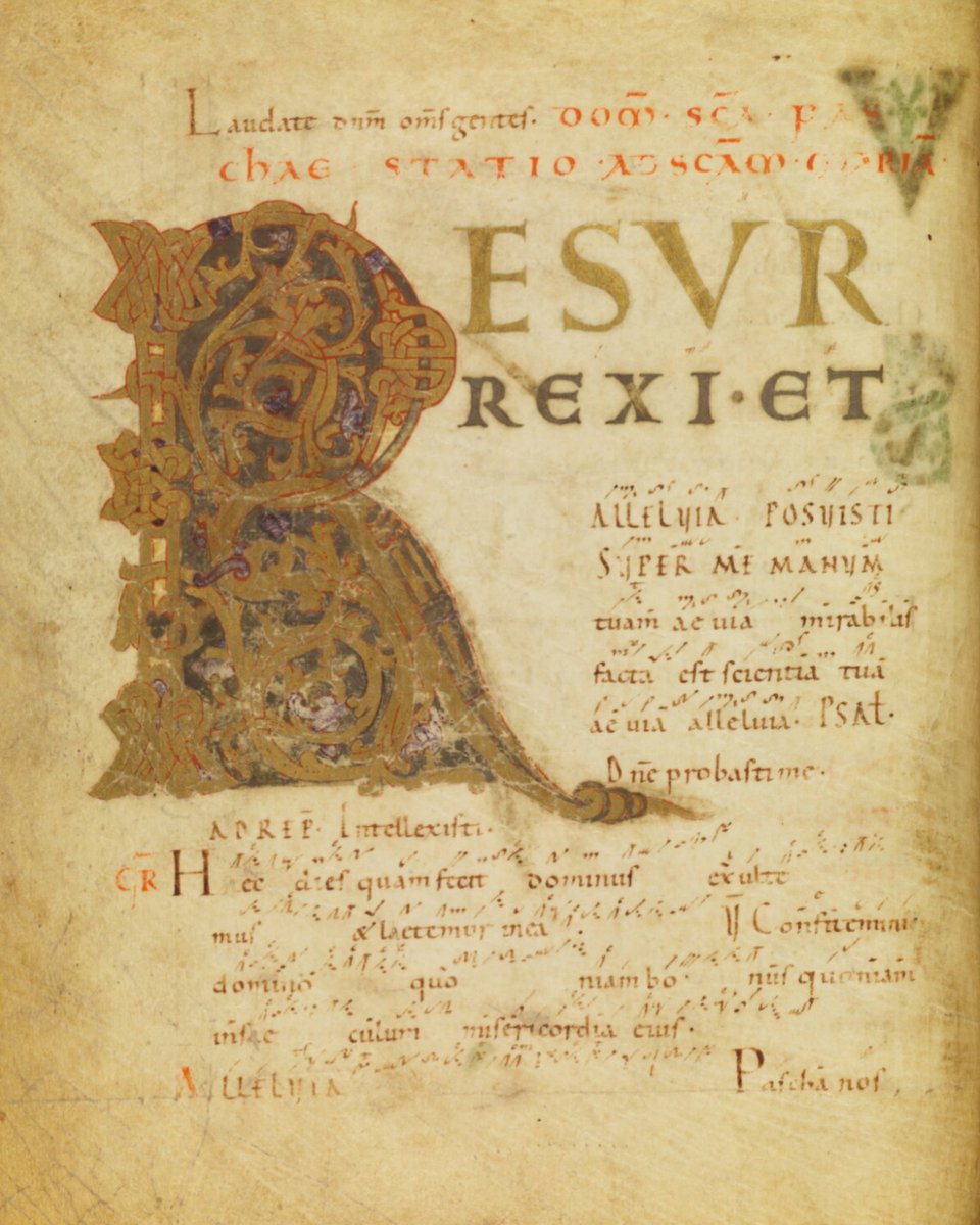 neumz_now's tweet photo. Easter: today is the day, the day of universal hope! Surrexit Christus vere, alleluia!
Enjoy the Introitus, Resurrexi et adhuc tecum sum: https://t.co/eXpKI3WTu5
Happy Easter! https://t.co/HyNYQEo2Nr