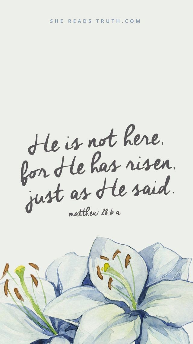 🕊