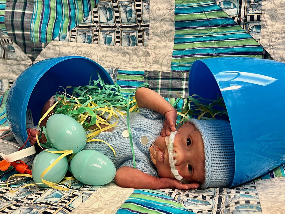 Happy Easter! Memory making in the NICU is an important support for families and this photo taken by the nursing team at Denver Health is one of our most cherished photos of Cooper. Thinking about giving an Easter gift to support NICUs? Click the link coopersteinhauserfoundation.org/donate