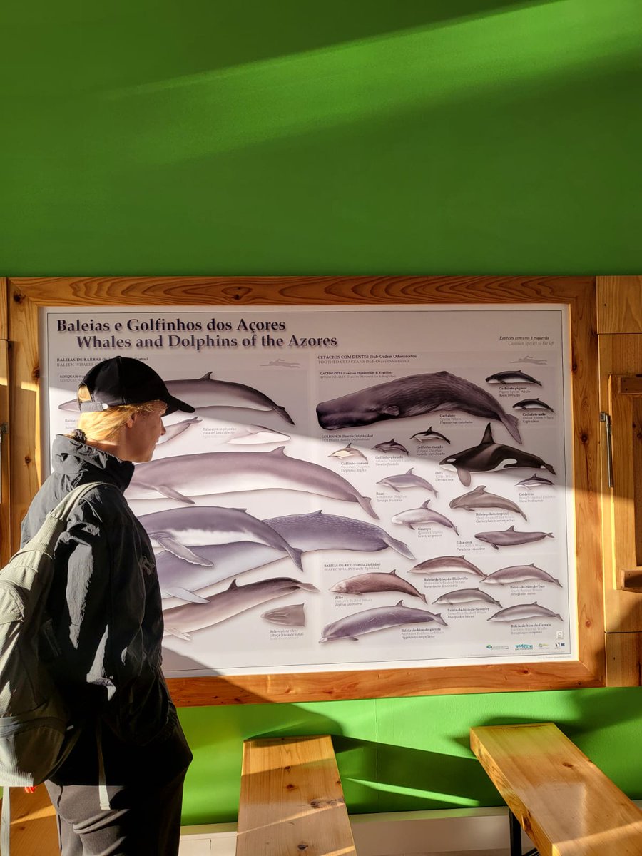 Sara Cantera tweet media