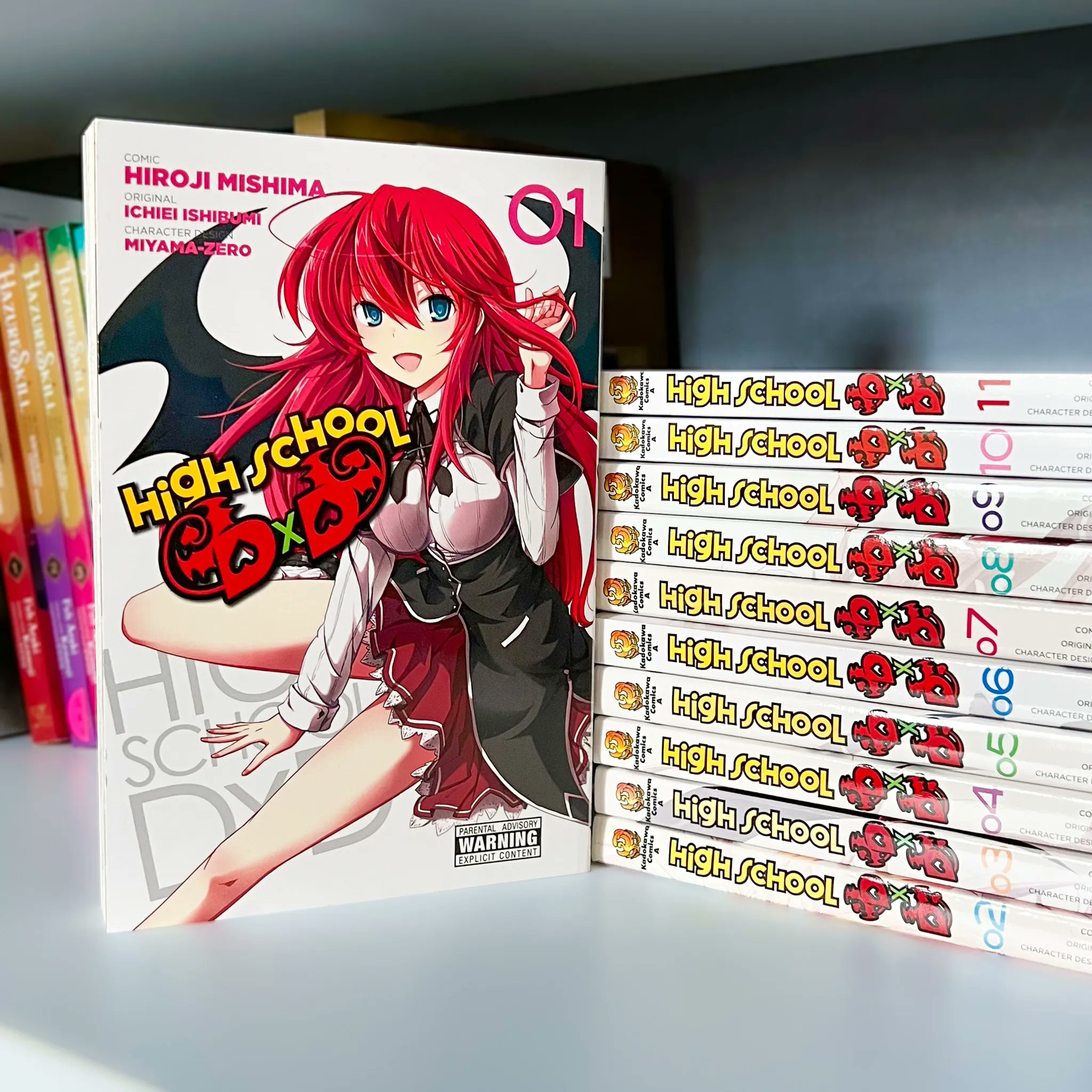 Light Novel Thursday: High School DxD Volume 06