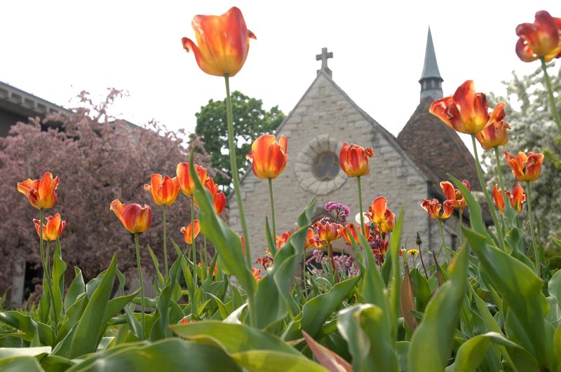 Happy Easter from the St. Joan of Arc Chapel at Marquette!