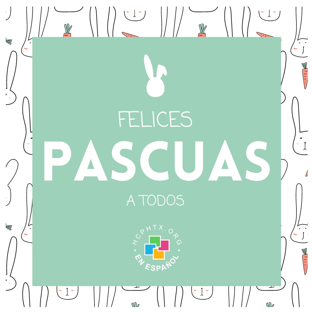 🐰 ¡FElices Pascuas! ¡Que tu día esté lleno de alegría, amor y mucho chocolate! #DomingoDePascua #FelicesPascuas #SpringtimeVibes