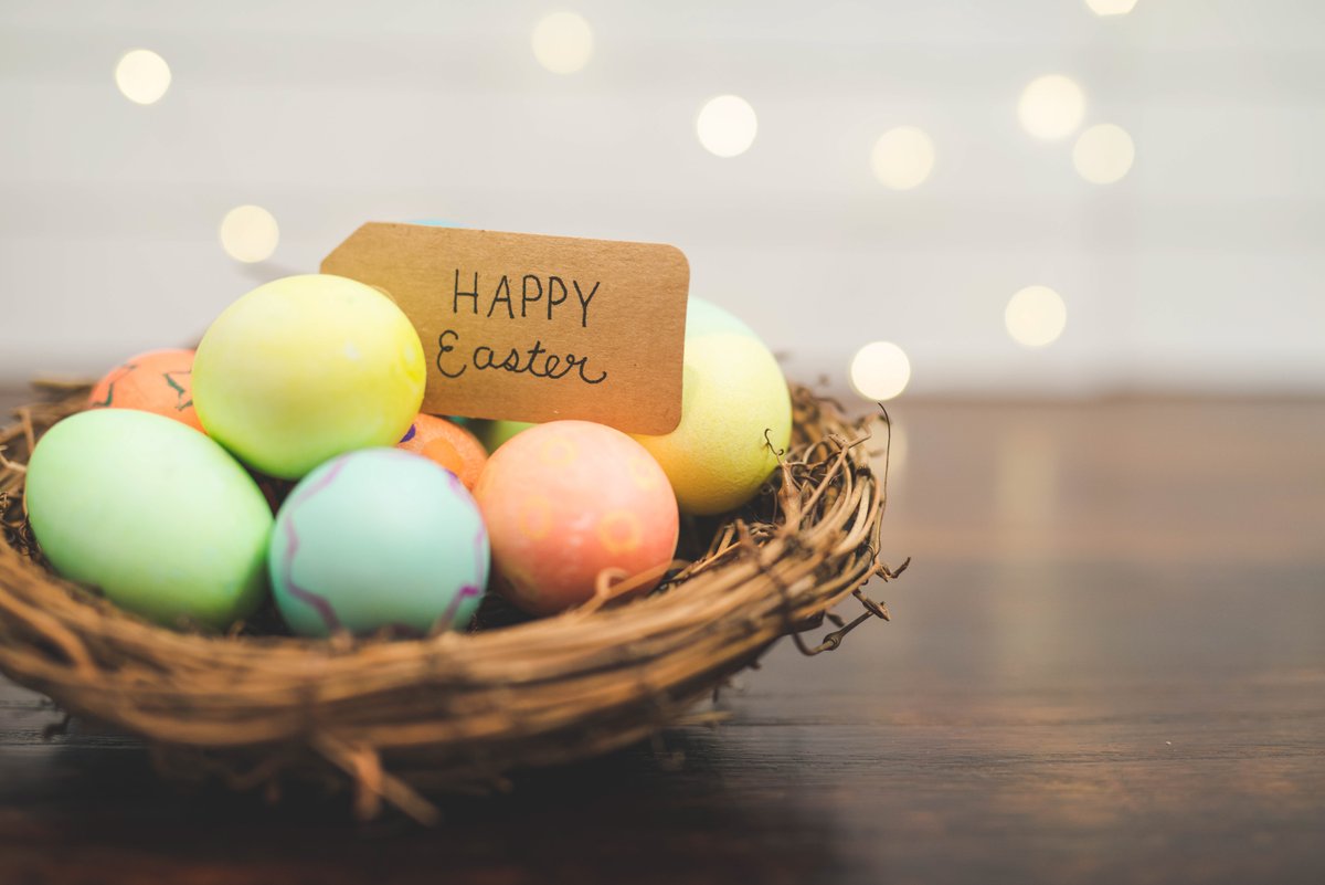 RavenoxUSA's tweet image. From our #Ravenox family to yours!
#HappyEaster #springtime #easterbunny #egghunt