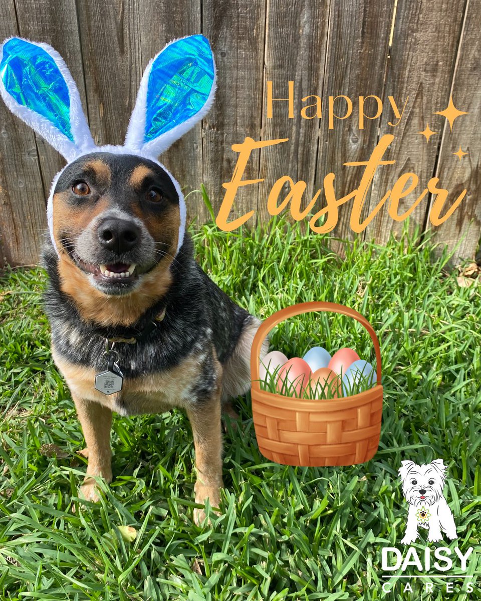 DaisyCares tweet media