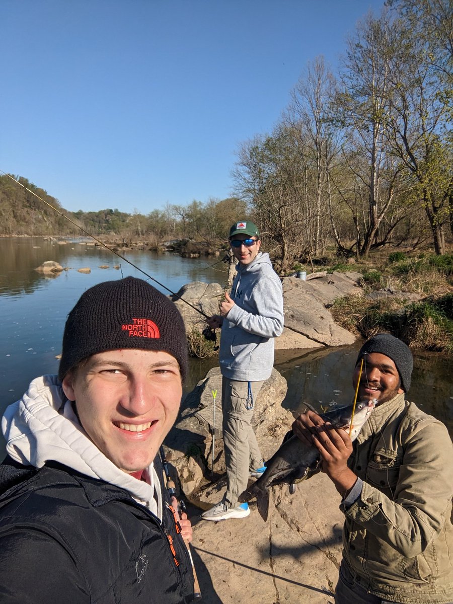 Rohin Ghosh tweet media