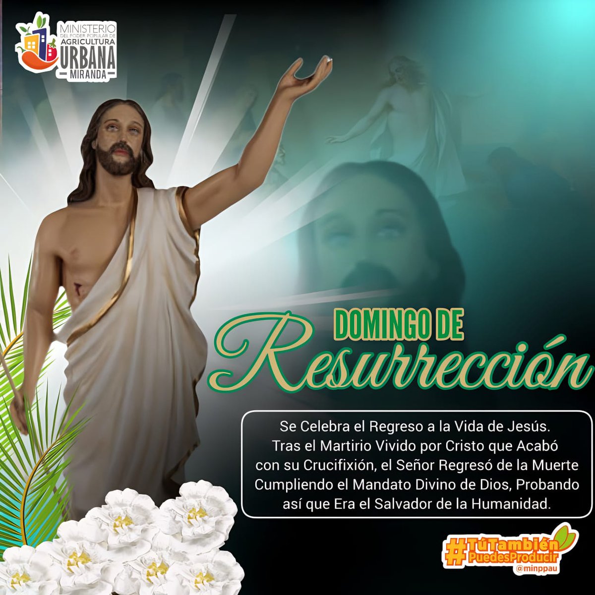 Celebramos la resurrección de Jesús, cumpliendo el mandato divino de Dios, probando así que era el salvador de la humanidad
#DomingoDeReencuentro