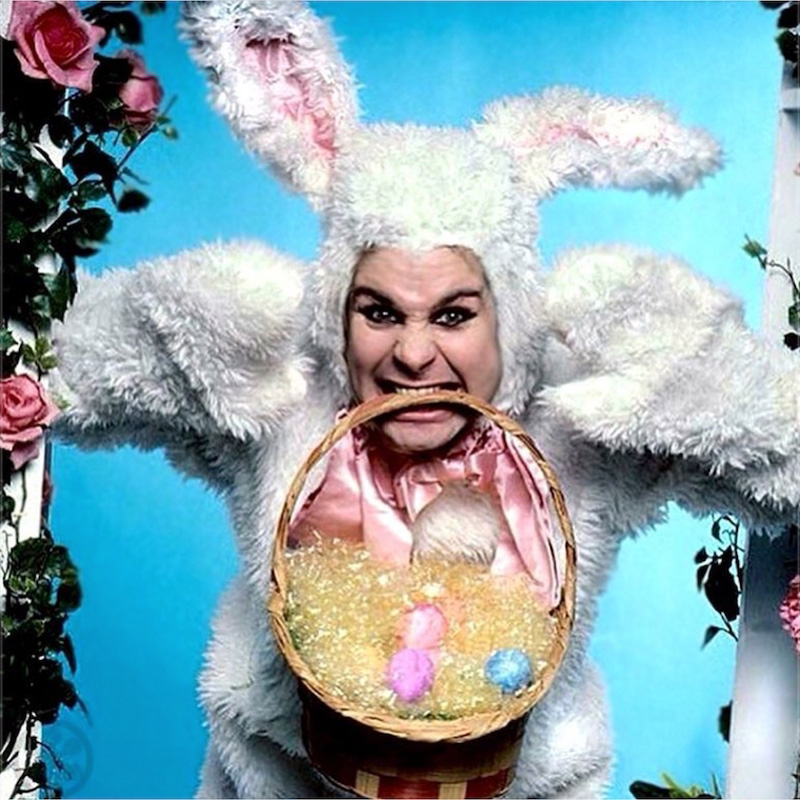 Here's what's in our Easter basket!🥚🐣

#elvira #elviramistressofthedark #easter #easterdecor #spring #springtime #johnwaters #bambi #gotheaster