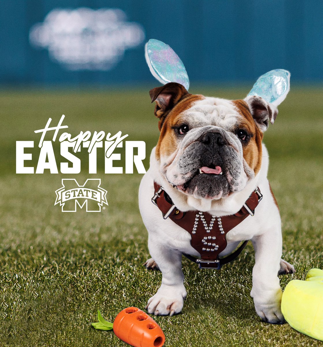 HailState's tweet photo. From our faMily to yours, Happy Easter!

#HailState🐶 https://t.co/TwL83SADEH