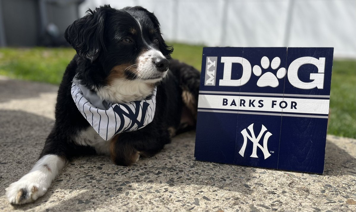 kelsielizabeth_'s tweet photo. Duke loves Yankees baseball⚾️ #ToyotaPinstripePride https://t.co/M2yOFdQdFj